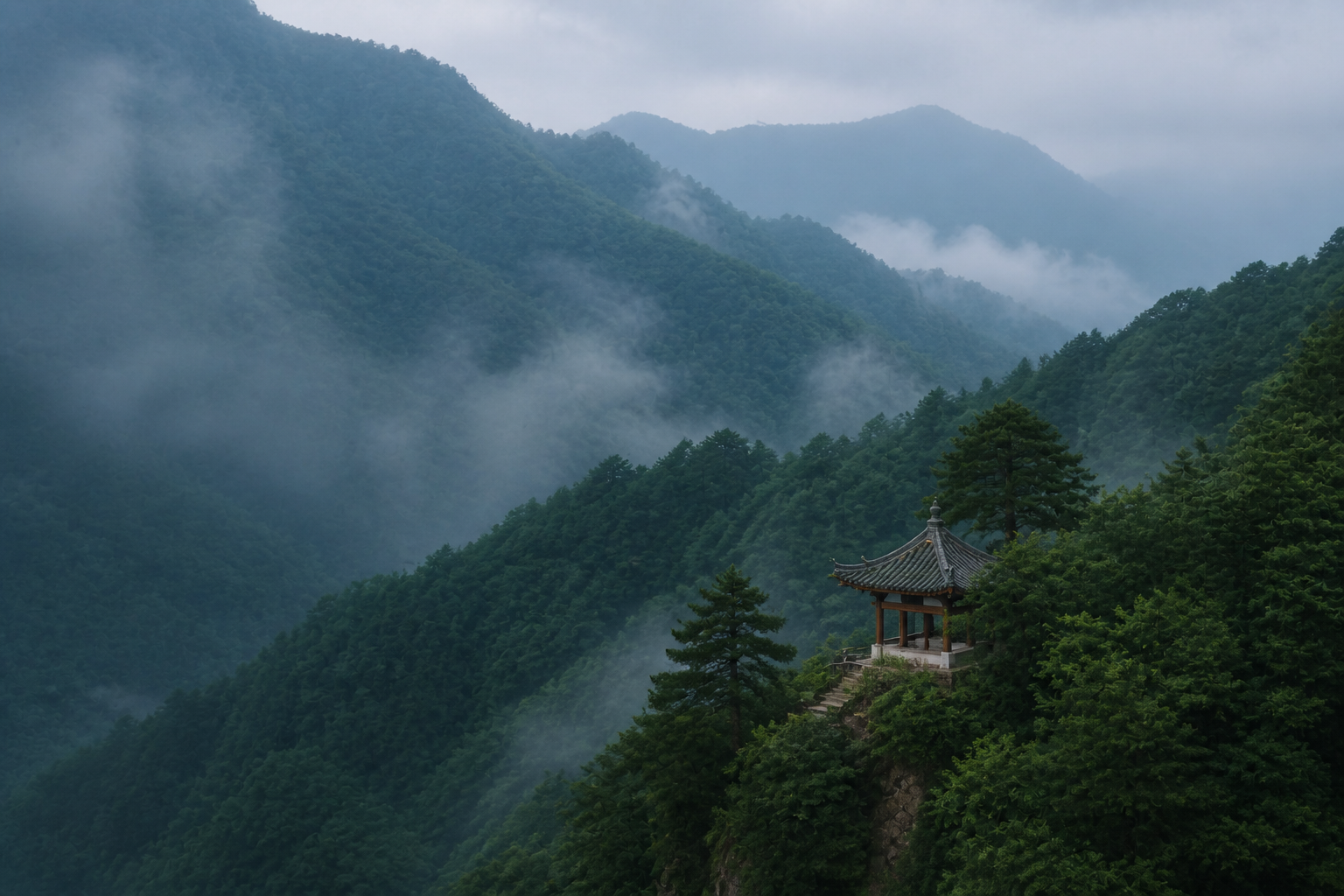 盛夏苍翠的平凉山林